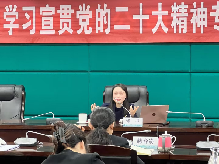 賴豐:國家電網(wǎng)-人才與績效培訓